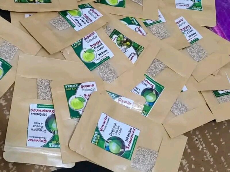 Semences de goyavier thaïlandais disponible duré de production 4 mois. Sachet de 250 graines a 15000 FCFA