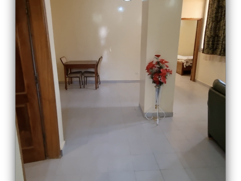 Appartement meublé spacieux