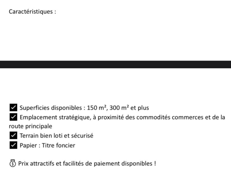 Immobilier